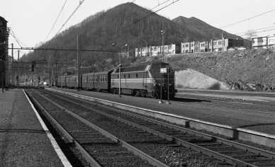 Herstal - DIEU F0300 (2).jpg